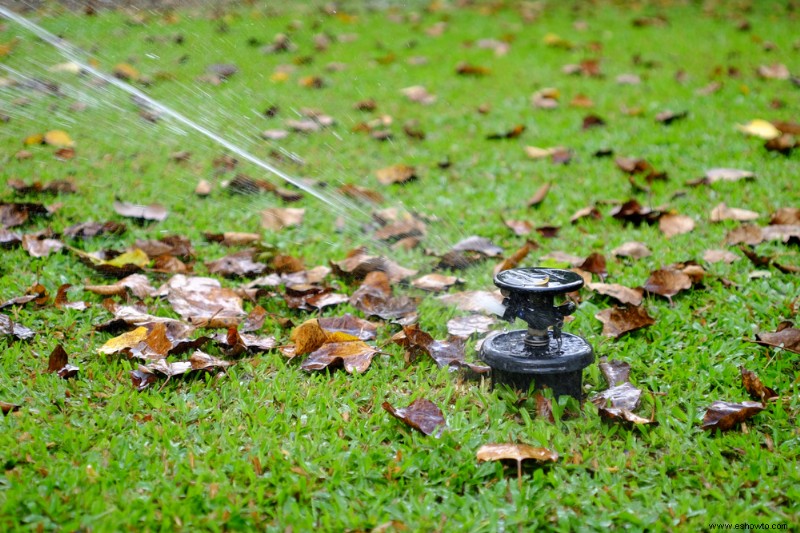 ¿Debe cortar el césped antes del invierno?