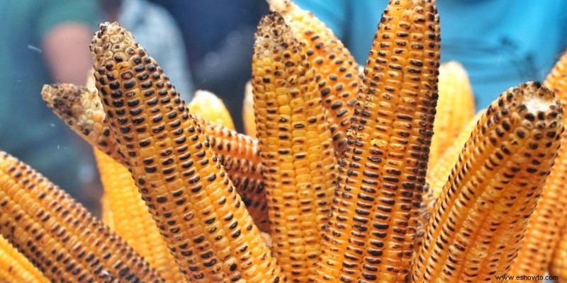 Cómo saltear verduras a la parrilla